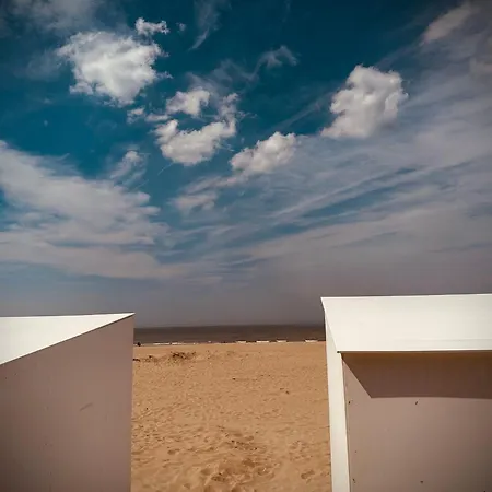 Duinenzicht Koksijde