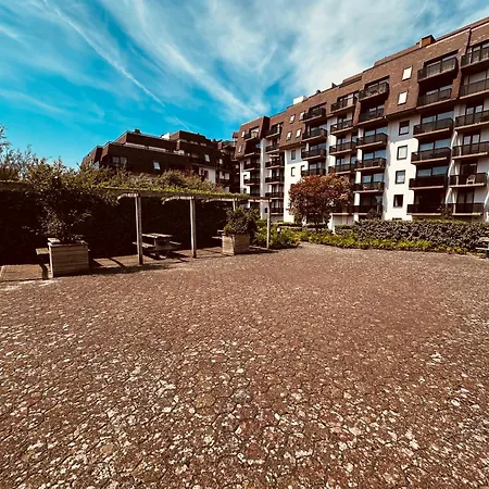 Duinenzicht Koksijde