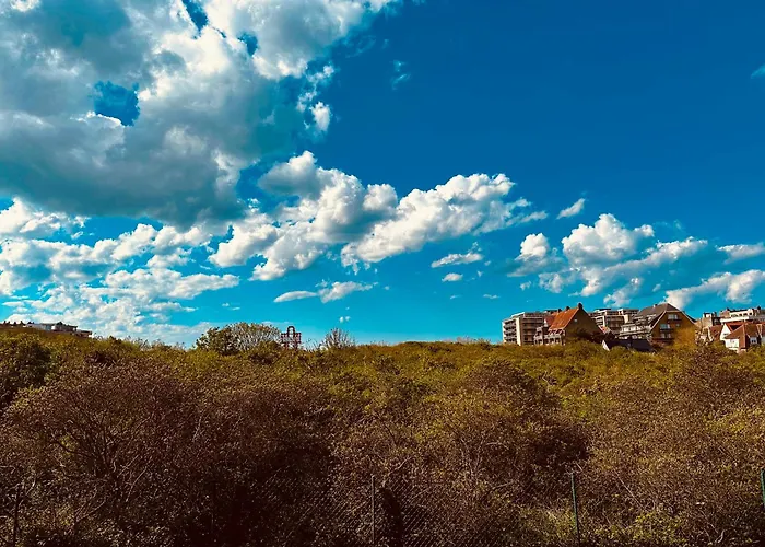 Apartment Duinenzicht Koksijde